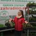 Jahoda (Fragaria x ananassa) ´ELSANTA´ jarná - multipaletka (10ks)